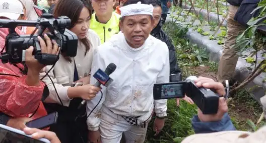 Longsor Pasirlangu, Dedi Mulyadi Ingatkan Bahaya Alih Fungsi Lahan
