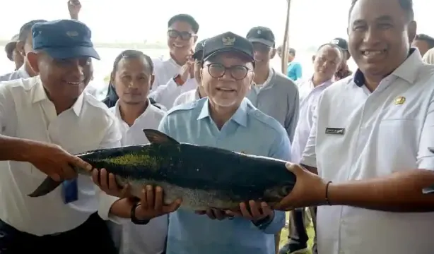 Kunjungan Menko Pangan Soroti Peran Kampung Bandeng Gresik